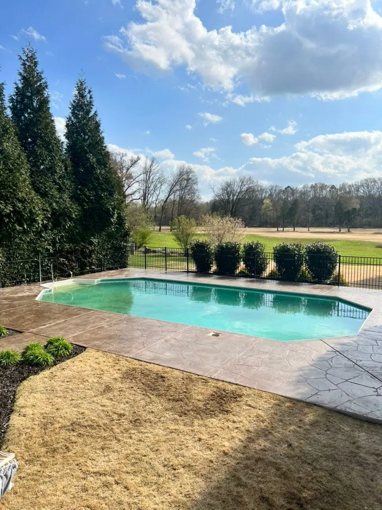 brown stone etched pool deck with natural pattern